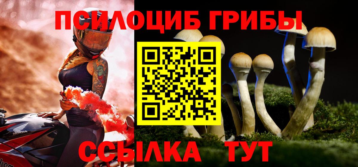 Галлюциногенные грибы мицелий  Псилоцибиновые грибы прущие грибы  Сарапул  Вход с VPN 